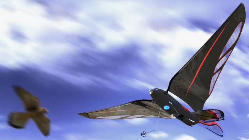 Инженер изготовил 10‑граммовую роботизированную птицу, разворачивающуюся до 31 км/ч и управляемую через смартфон