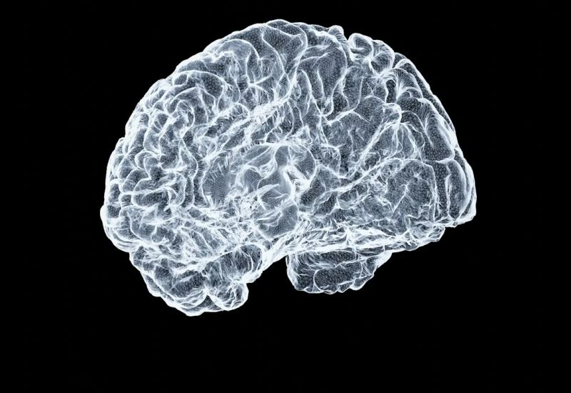 Китайские мозговые импланты отстоят от американского Neuralink почти на три года