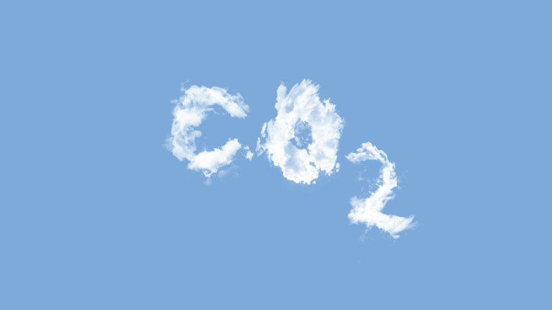 Сотни тысяч превратились в десятки миллионов: искусственный интеллект ускорил рост спроса на углеродные кредиты у технологических гигантов