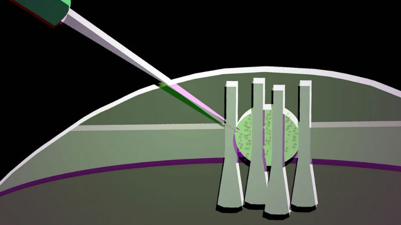 Учёные сделали из капли жидкого кристалла гибкий оптический транзистор для будущих фотонических чипов