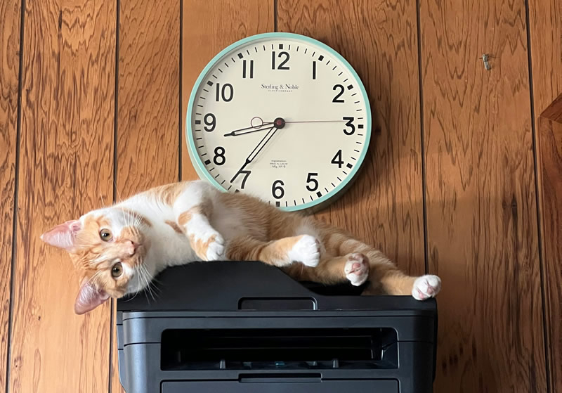 Windows 11 прекратит поддержку старых драйверов принтеров V3 и V4 с последующим обновлением