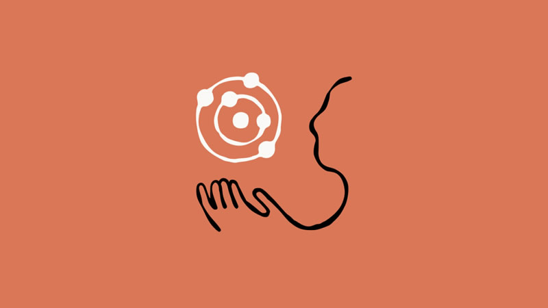 Anthropic набрала рекордное число подписчиков после скандала с Министерством обороны США