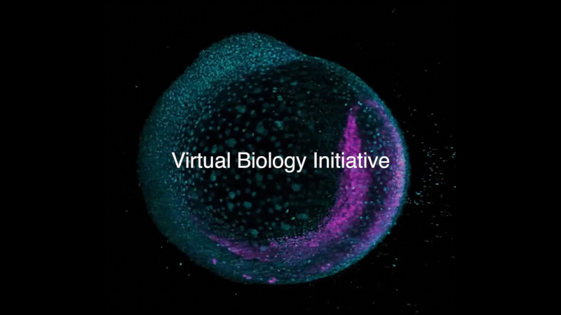 Biohub Марка Цукерберга приступил к ускорению терапии всех заболеваний, используя ИИ‑модели клеток