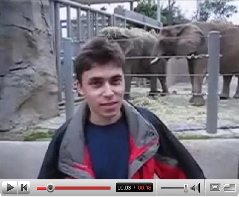 Первые ролики с YouTube вошли в коллекцию музея