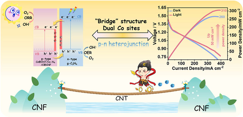 Китай разработал батарейку, предпочитающую яркое освещение