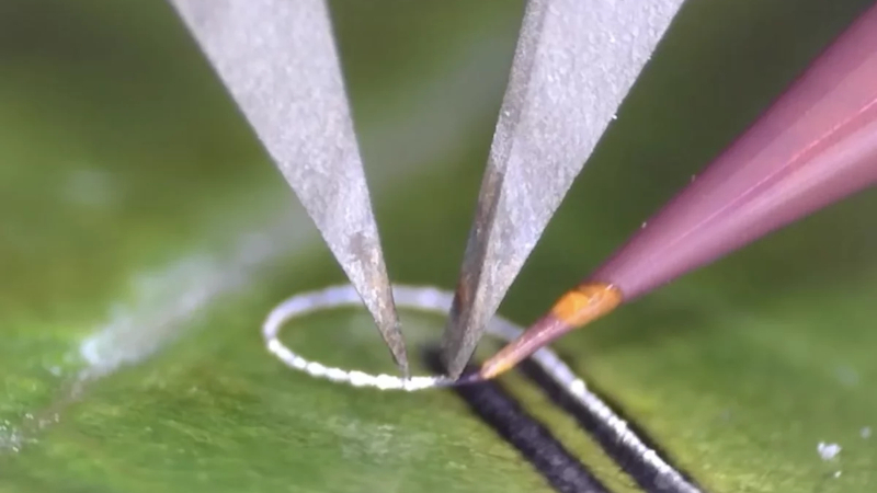 Инженеры создали прибор, позволяющий наносить электронные компоненты на живые ткани и медицинские имплантаты без повреждений